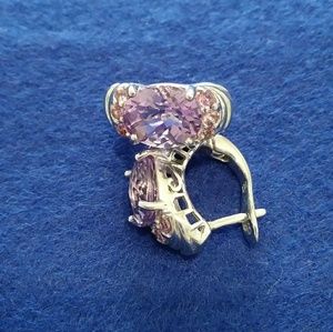 🌸Silver Amethyst Earings